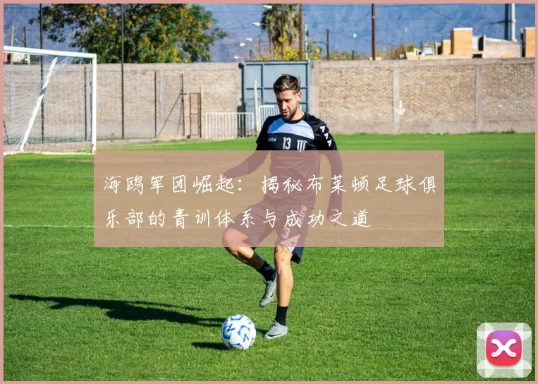 海鸥军团崛起：揭秘布莱顿足球俱乐部的青训体系与成功之道