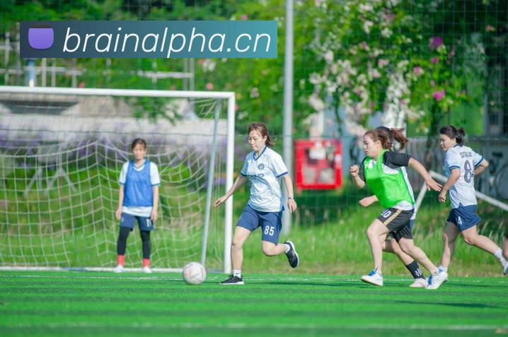 多媒体互动体验