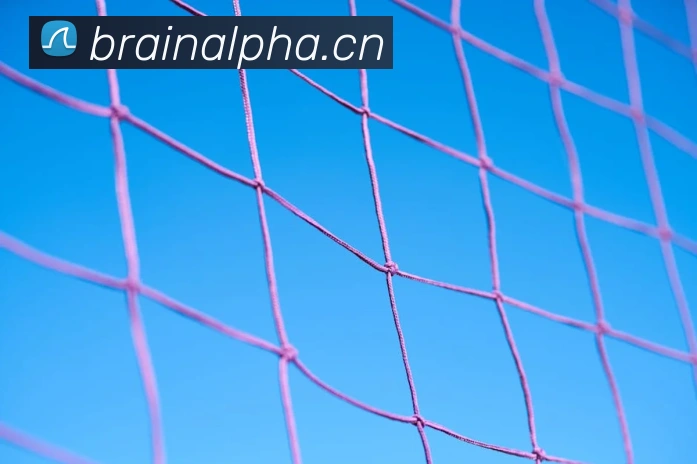 开云官方网站下载appAPP 体育赛事宣传图